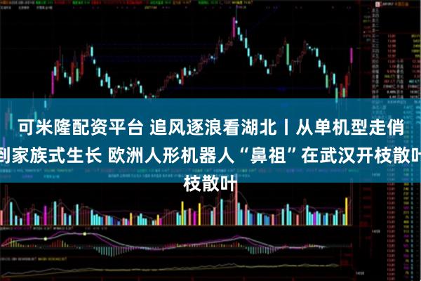 可米隆配资平台 追风逐浪看湖北丨从单机型走俏到家族式生长 欧洲人形机器人“鼻祖”在武汉开枝散叶