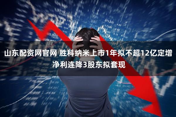 山东配资网官网 胜科纳米上市1年拟不超12亿定增 净利连降3股东拟套现